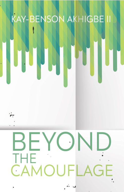 Beyond the Camouflage book on identity and personal growth
